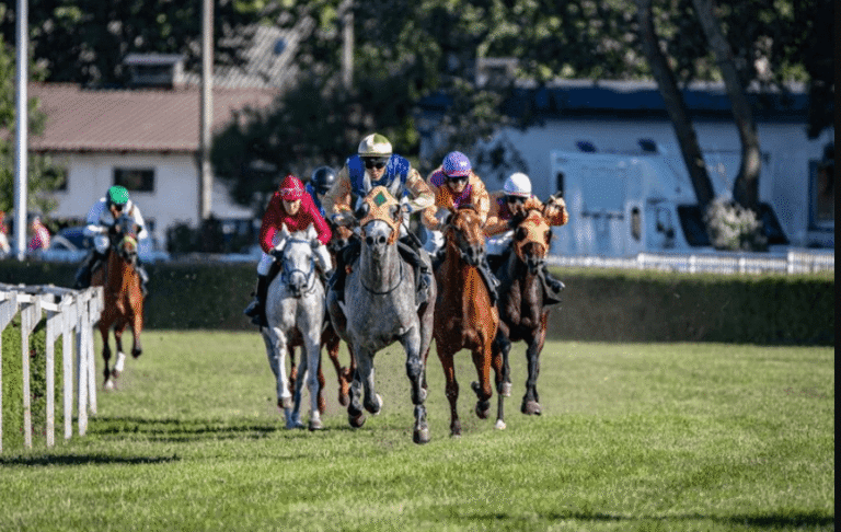 Horse Racing Legends: Trainers, Jockeys, and Horses You Should Know