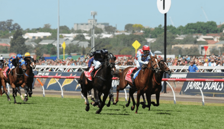 Horse Racing: The Art of Studying Horse Form and Performance