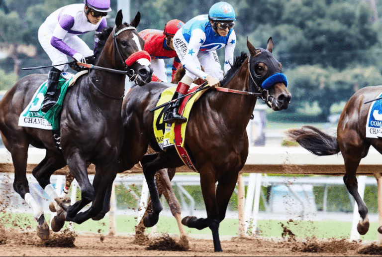 Horse Racing: The Art of Studying Tracks and Races